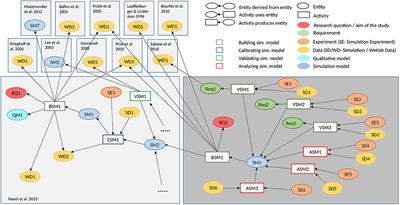 Receptor/Raft Ratio Is a Determinant for LRP6 Phosphorylation and WNT/β-Catenin Signaling